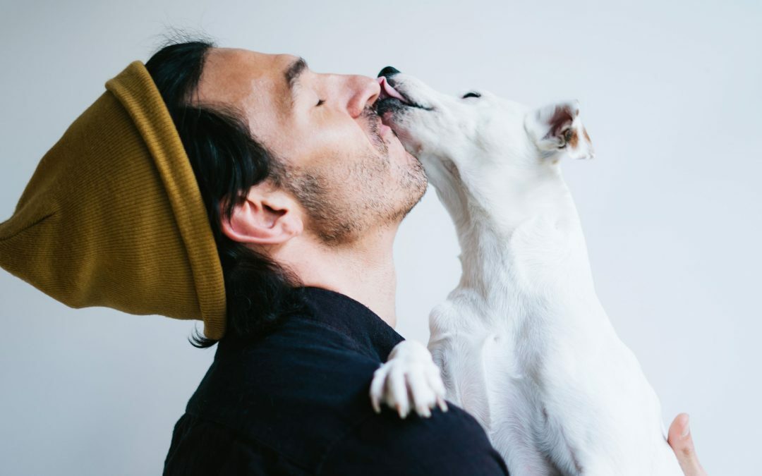 Emmener son chien au travail et le bien-être collaborateurs