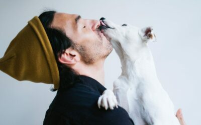 Emmener son chien au travail et le bien-être collaborateurs